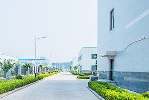 自公司建设以来，，，以振兴和生长我国贵金属催化剂和催化工艺为己任，，，已研究、开发出了活性炭负载，，，氧化物负载，，，有机物负载贵金属催化剂，，，均相催化剂，，，手性催化剂，，，专用催化剂等上百种催化剂，，，以及一百多种催化合成/反应工艺手艺。。